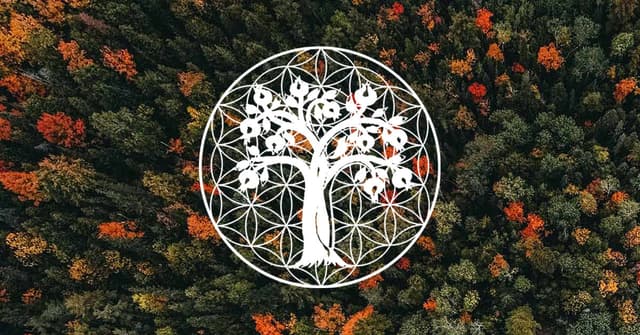 ANCIENT PURITY logo